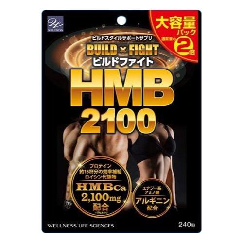ビルドファイト HMB2100
