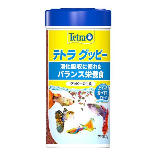 Tetra(テトラ) グッピー