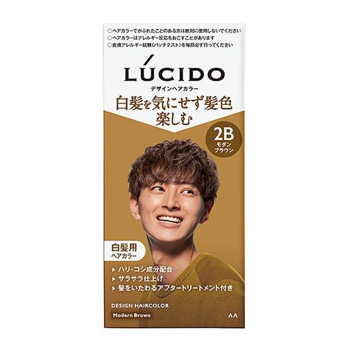 LUCIDO(ルシード) デザインヘアカラー モダンブラウン