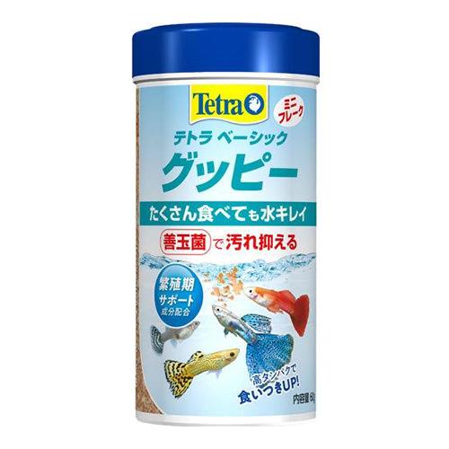 Tetra(テトラ) ベーシック グッピー