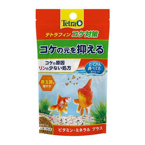 Tetra(テトラ) テトラフィン コケ対策