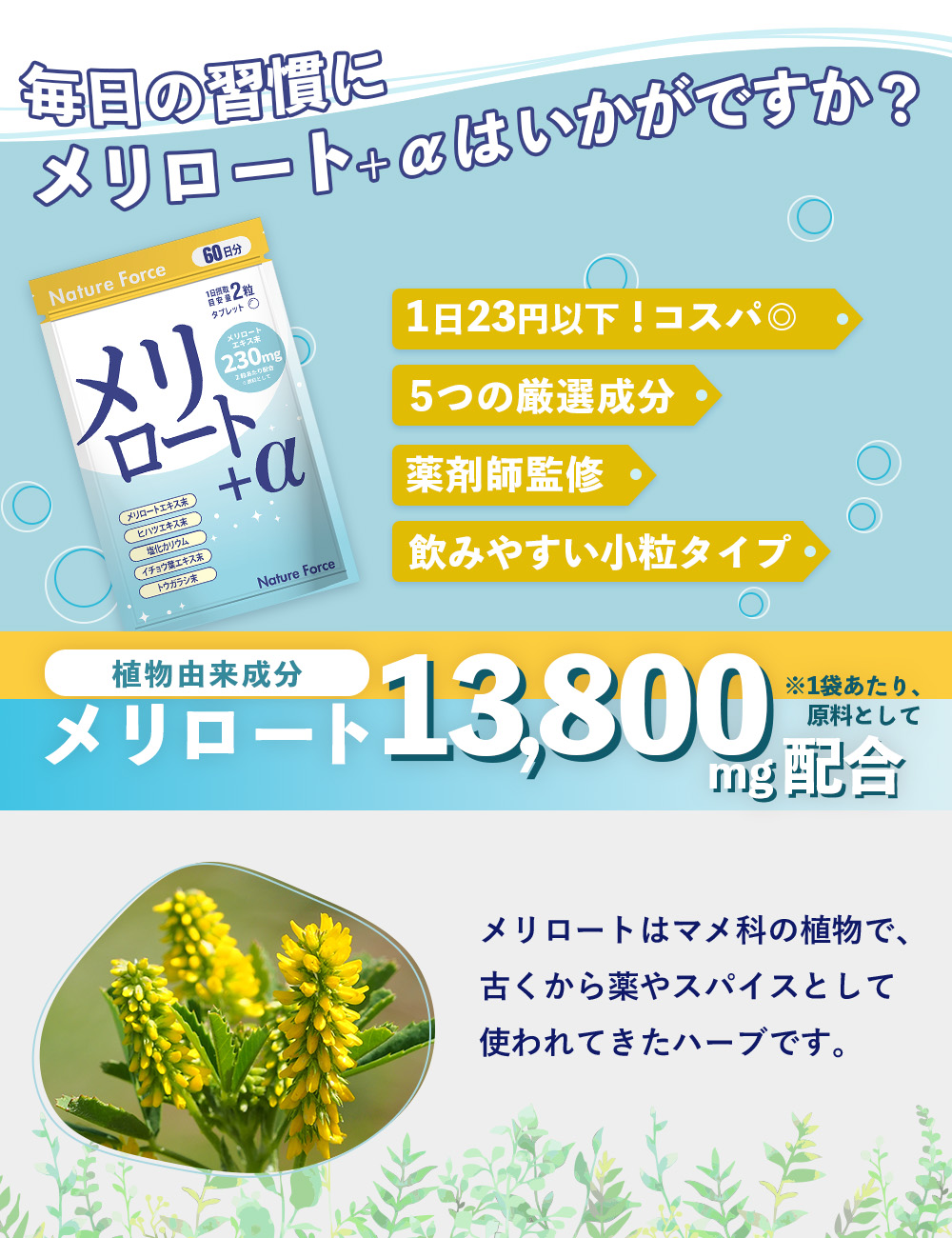 ネイチャーフォース メリロート+α
