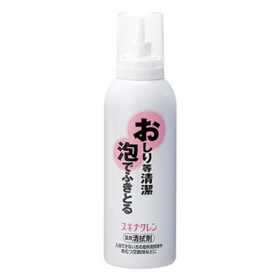 持田ヘルスケア スキナクレン 薬用清拭剤