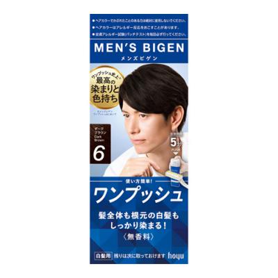 メンズビゲン ワンプッシュ 白髪染め 6 ダークブラウン