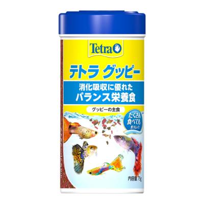 Tetra(テトラ) グッピー