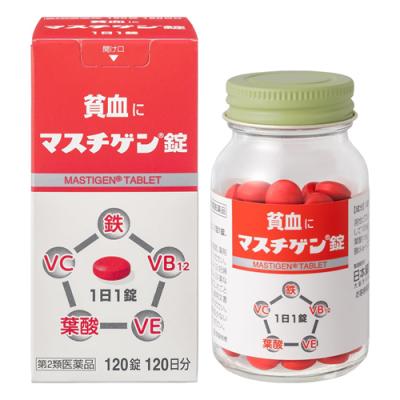 120錠入 120日分