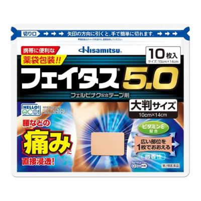 10枚入 