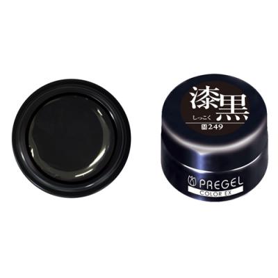 PREGEL(プリジェル) カラーEX  PG-CE249 漆黒