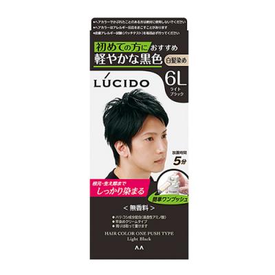 LUCIDO(ルシード) ワンプッシュケアカラー 6L ライトブラック