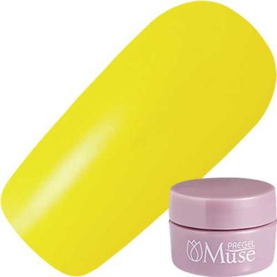 PREGEL(プリジェル) ミューズ M313 パインイエロー 