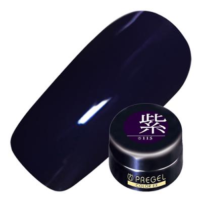 PREGEL(プリジェル) カラーEX  PG-CE115 紫 パープル