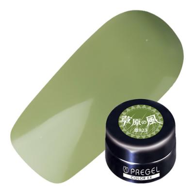 PREGEL(プリジェル) カラーEX  PG-CE823 草原の風