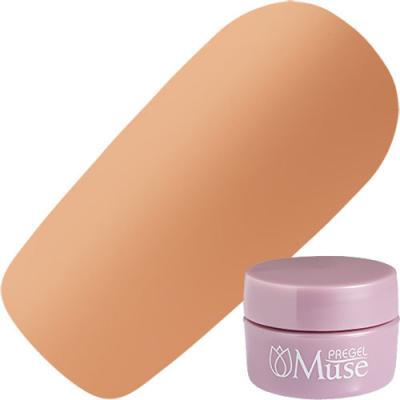 PREGEL(プリジェル) ミューズ M124 アフタヌーンティー 