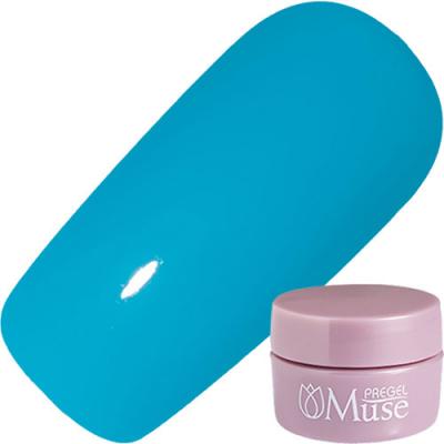 PREGEL(プリジェル) ミューズ M1016 ハミングブルー 