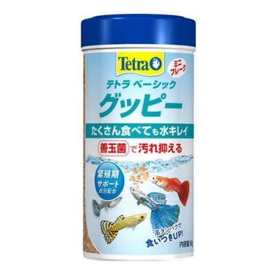 Tetra(テトラ) ベーシック グッピー