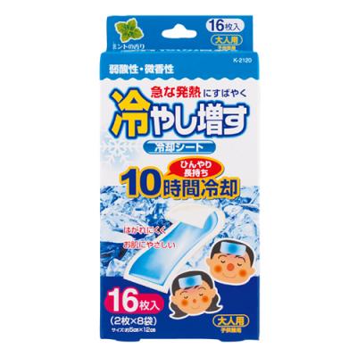 16枚入 