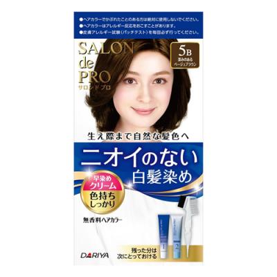 サロンドプロ 無香料ヘアカラー 早染めクリーム 白髪用 5B 深みのあるベージュブラウン