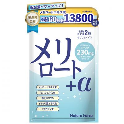 小林製薬 ブルーベリー ルテイン メグスリノ木の通販｜通販できる