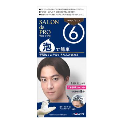 サロンドプロ 泡のヘアカラーEX メンズスピーディ白髪用 6 ダークブラウン