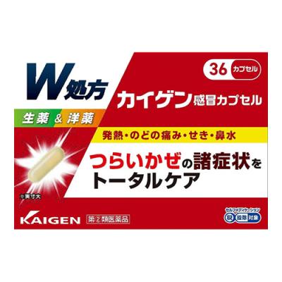 カイゲン感冒カプセル