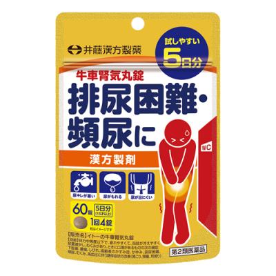 井藤漢方製薬 イトーの牛車腎気丸錠