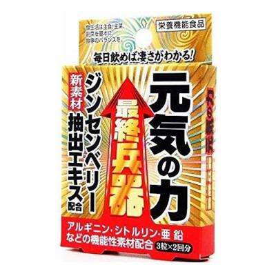 メイクトモロー 最終兵器 元気の力