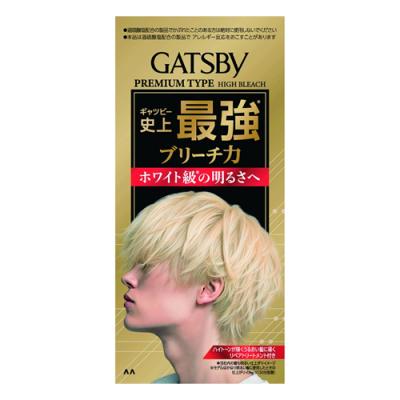 GATSBY ギャツビー プレミアムタイプ ハイブリーチ