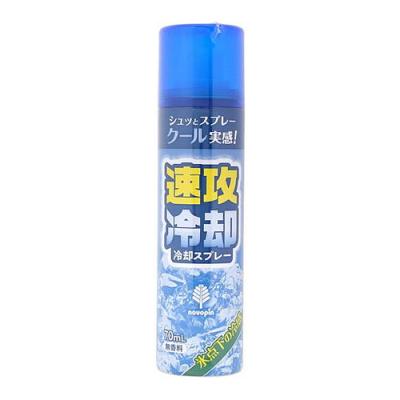 紀陽除虫菊 速攻冷却 冷却スプレー