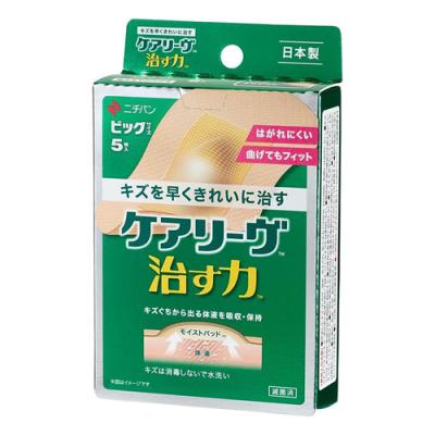 ビッグサイズ 5枚入 CN5B