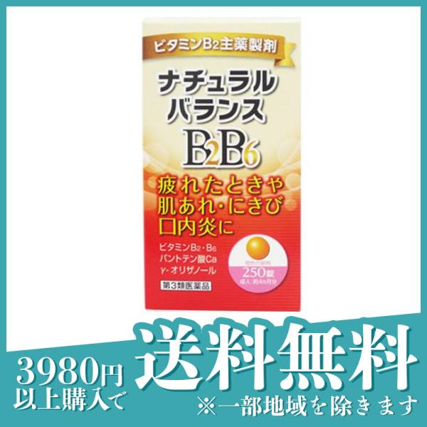 贈与 ケース販売 300個以上でご注文下さい 数量未満はストアへ要相談 セルローススポンジ 法人様限定商品 送料無料