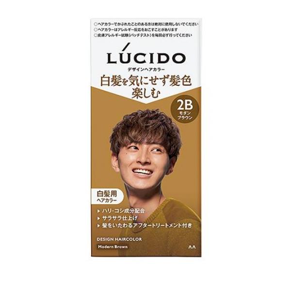LUCIDO(ルシード) デザインヘアカラー モダンブラウン 1個(定形外郵便での配送)